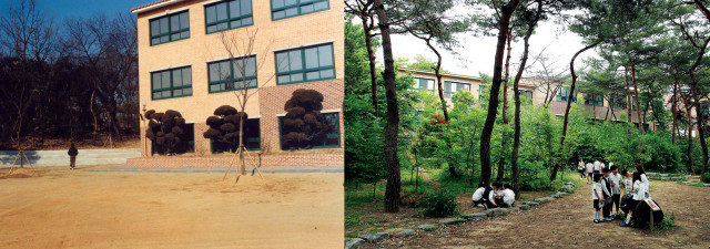 ▲서울 화랑초 1999년 학교숲 시범학교 전과 2005년 학교숲 운동 후 전경. ⓒ유한킴벌리