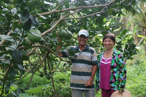 ▲교보생명은 올 하반기 베트남 낙후농촌지역에 희망나무 26,400그루를 심는다고 6일 밝혔다. ⓒ교보생명