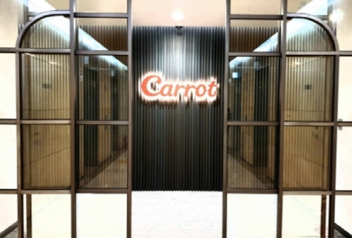 ⓒ캐롯손해보험