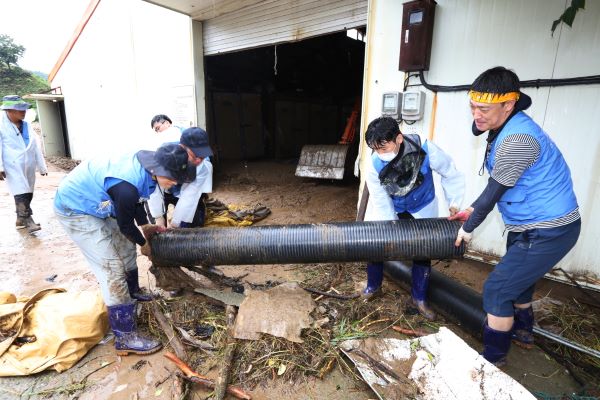 ▲KT&G 임직원들이 수해 복구 봉사활동을 하는 모습 ⓒKT&G