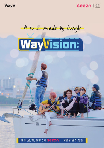 ▲WayVision(웨이비전) 공식 포스터. ⓒKT