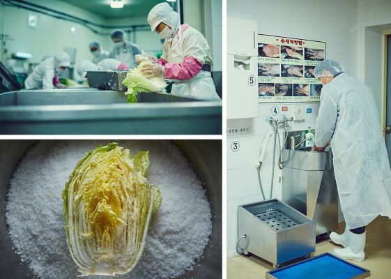 ▲올가올푸드 유기농 김장김치 이미지 ⓒ풀무원 올가홀푸드