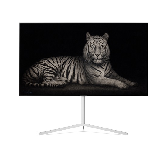 ▲원화를 NFT화 한 디지털 작품을 담은 LG 올레드 에보. ⓒLG전자