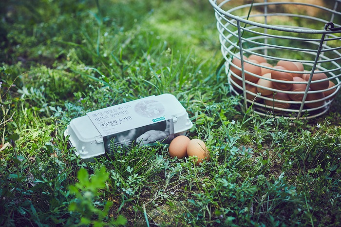 ▲ ‘다란팜’의 유기농 자연방사 유정란. ⓒ마켓컬리