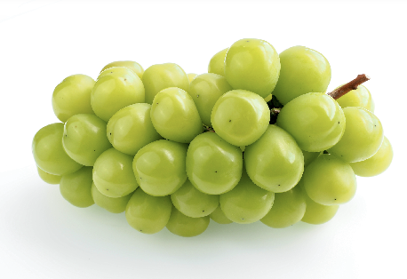 ▲샤인머스켓. ⓒAdobe Stock