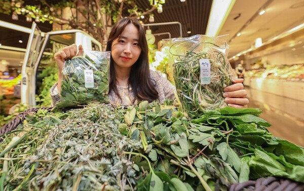 ▲26일 오전, 서울 강남구에 위치한 현대백화점 무역센터점 지하1층에서 직원이 '산청군 지리산 봄나물'을 소개하고 있다. ⓒ현대백화점