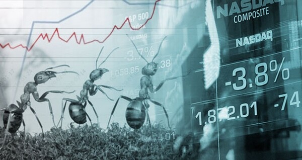 ⓒKBS뉴스화면 캡처