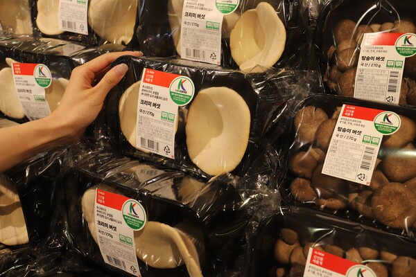 ▲크리미 탐송이 버섯. ⓒ롯데마트