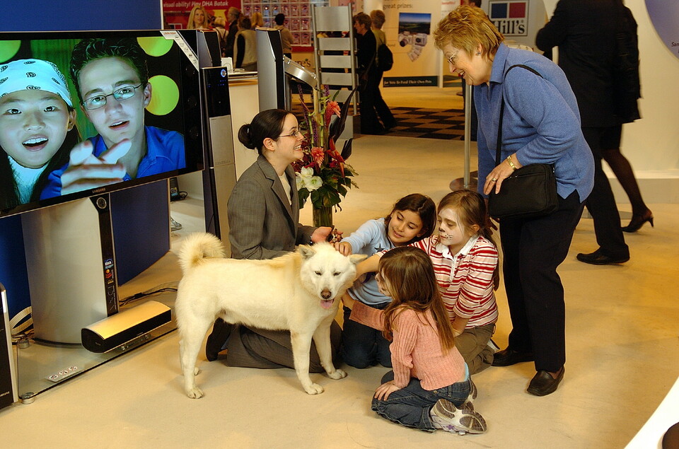 ▲2005년 영국 크러프츠 도그쇼에서 진돗개를 전시했다. 관람객들이 진돗개를 쓰다듬고 있다. ⓒ삼성전자