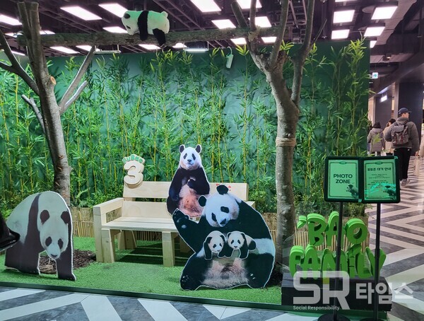 ▲푸바오 팝업스토어 입구에 자리한 포토존. ⓒ최나리 기자