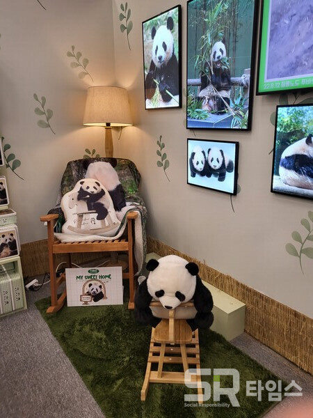 ▲푸바오 가족 사진으로 꾸며진 벽면이 돋보이는 바오패밀리 거실. ⓒ최나리 기자