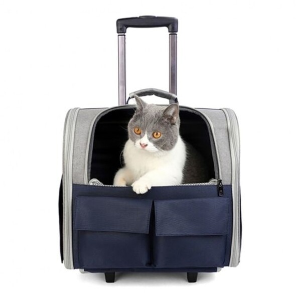 ▲고양이용 유모차. ⓒG마켓