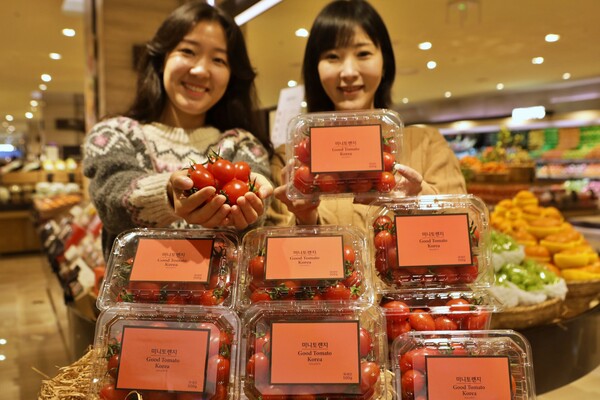 ▲신품종 미니 토렌지 출시. ⓒ롯데백화점