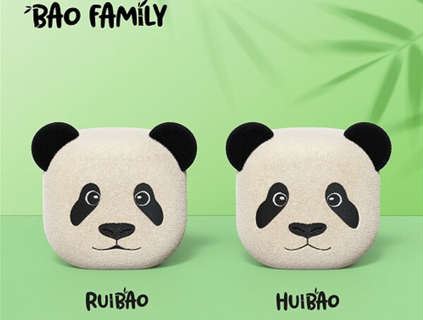 ▲삼성 갤럭시 버즈2 프로 쌍둥바오 케이스. ⓒ삼성전자