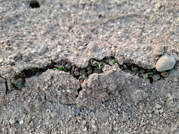 ▲씨 지진ⓒ오승건