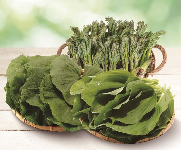 ▲산나물 이미지 컷. ⓒ이마트