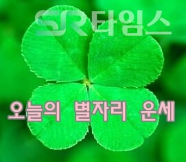 ▲오늘의 운세(별자리)ⓒSR타임스