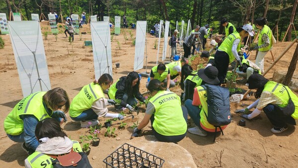 ▲한국지멘스 임직원들이 지난 29일 강원 춘천시에 있는 국립춘천숲체원에서 ‘산림생태복원 ESG 캠페인’을 진행했다. ⓒ한국지멘스