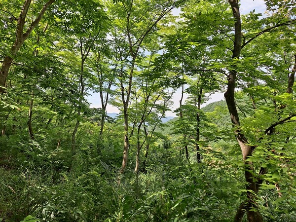 ▲쪼그려 봐ⓒ오승건