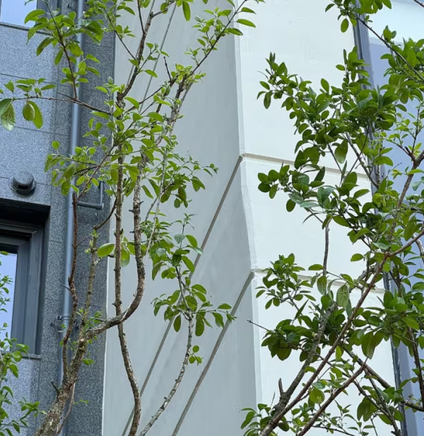 ▲전남 무안군 힐스테이트 오룡 단지 외벽이 휘어있다. ⓒ보배드림