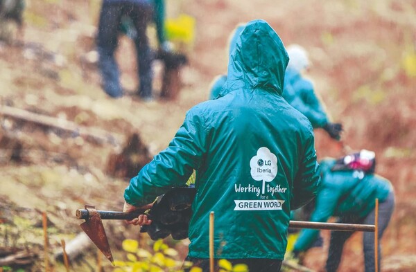 ▲스페인 ‘스마트 그린 트리’ 활동 사진. ⓒLG전자