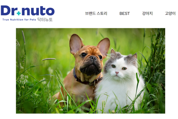 ⓒ닥터뉴토 공식 홈페이지 캡처