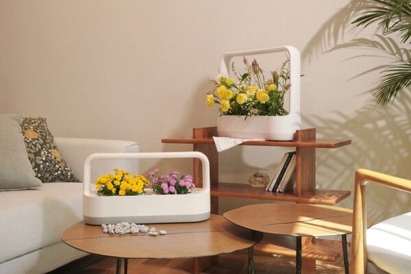 ▲LG 틔운 미니. ⓒLG전자