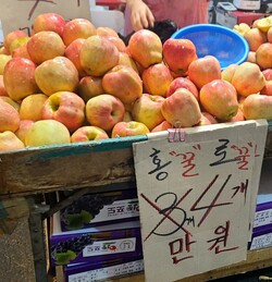 ▲4개에 1만원으로 팔리고 있는 홍로 사과. ⓒ박현주 기자