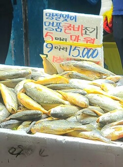 ▲5마리에 1만원으로 팔리는 굴비조기. ⓒ박현주 기자