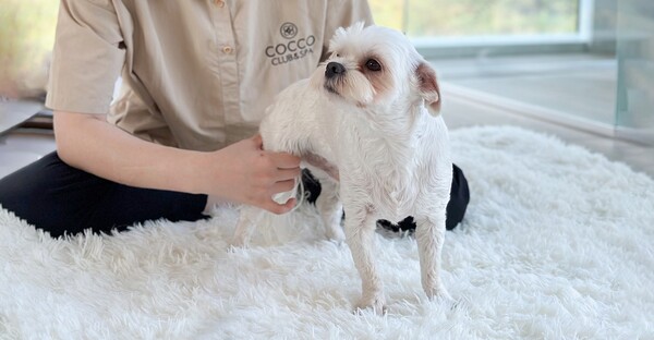 ▲스타필드 수원 코코스퀘어 매장. ⓒ신세계프라퍼티