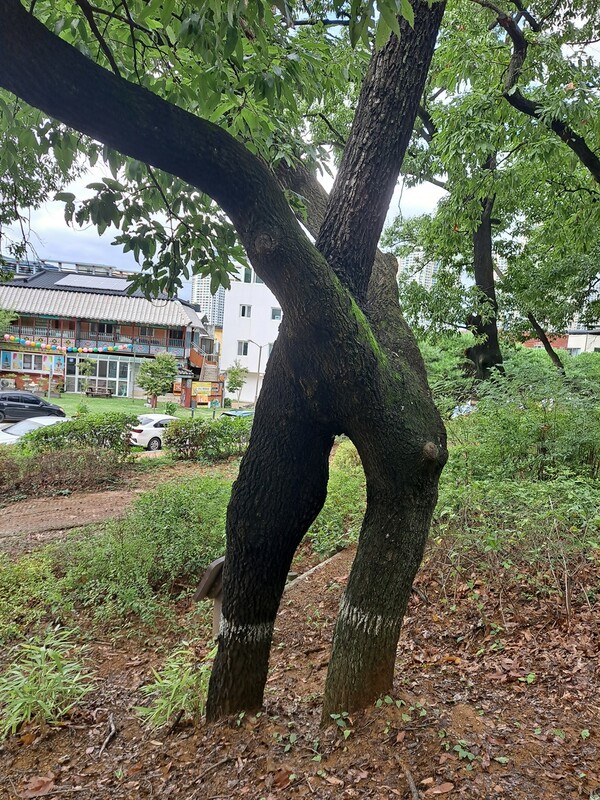 ▲도서관 연리지ⓒ오승건