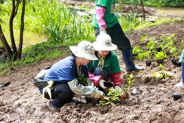 ▲충북 진천 미르숲에서 친환경 봉사 활동을 하는 ‘해피무브 더 그린’ 단원들의 모습. ⓒ현대차그룹