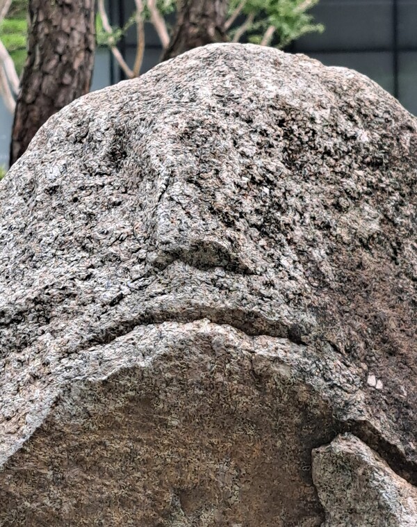 ▲숨은 표정 돌아이ⓒ오승건