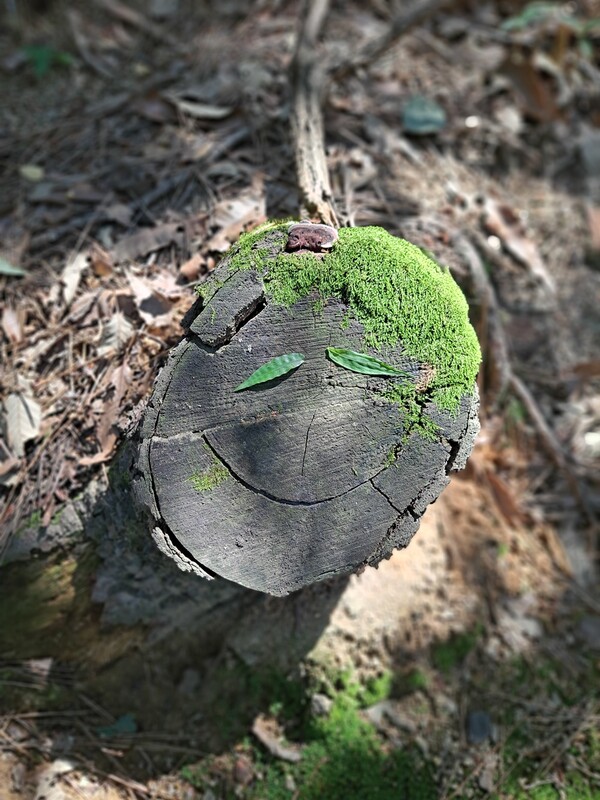 ▲초록아이ⓒ오승건