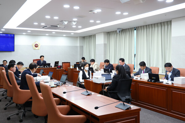 ▲서울시의회 도시계획균형위원회(위원장 김길영, 국민의힘)는 지난 7일 서울시 미래청년기획관에 대한 행정사무감사를 실시했다. ⓒ서울시의회