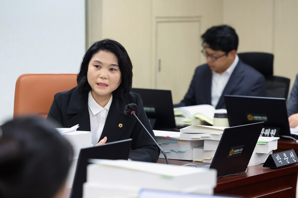 ▲행정사무감사 질의 중인 박춘선 부위원장. ⓒ서울시의회