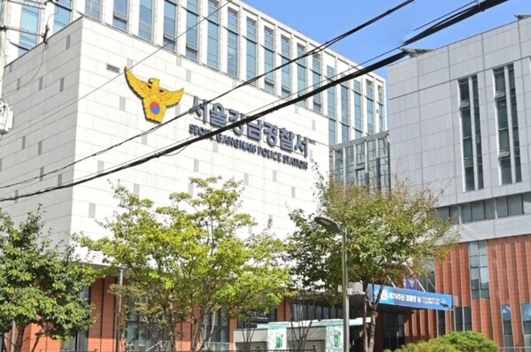 ▲마약 투약 혐의로 법원에서 징역형의 집행유예(집유)를 선고받은 벽산그룹 3세 김모씨가 집유 기간 중 또다시 약물 운전을 한 혐의로 적발돼 검찰에 송치됐다. ⓒ 서울 강남경찰서 네이버 거리뷰 캡처