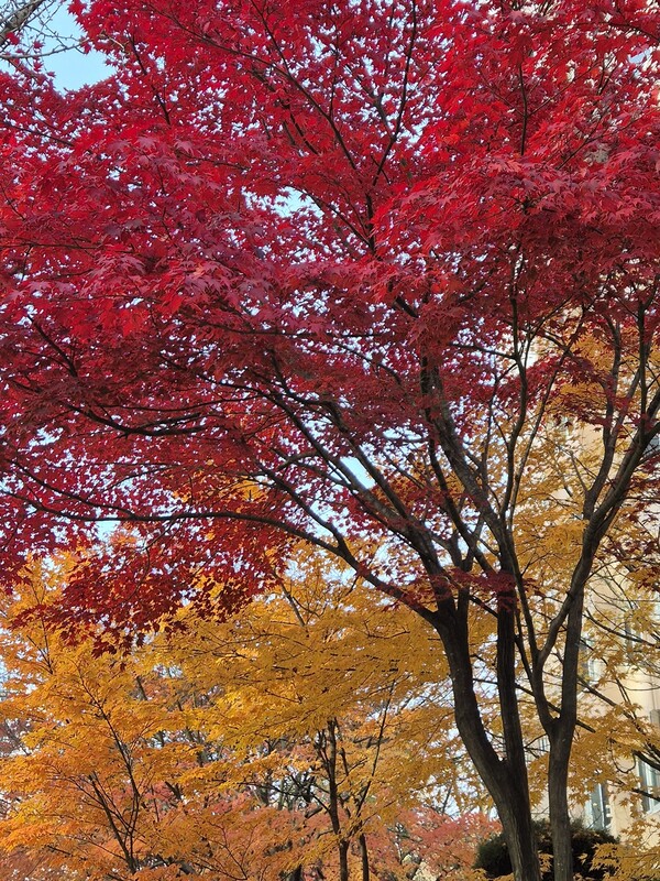 ▲삶과 죽음2ⓒ오승건