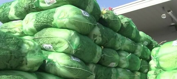 ⓒKBS뉴스화면 캡처