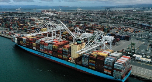 ⓒSBS뉴스화면 캡처