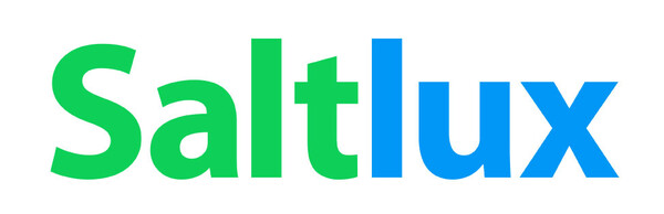 ▲솔트룩스 CIⓒ솔트룩스