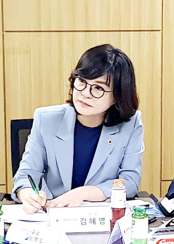 ▲서울시의회 문화체육관광위원회 김혜영 의원. ⓒ서울시의회