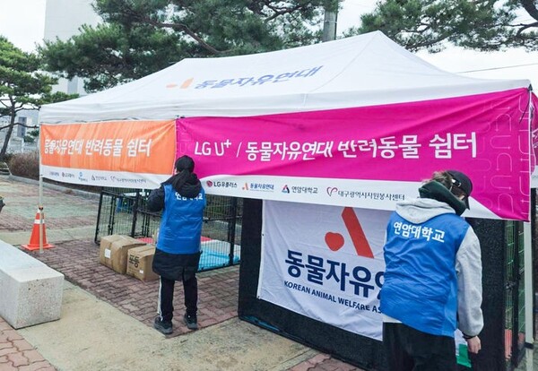 ▲의성체육관 인근에 설치된 국내 최초 반려동물 특화 구호소. ⓒLG유플러스