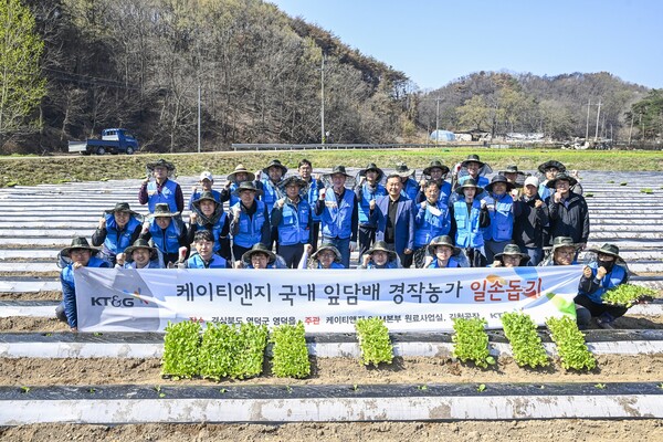 ▲KT&G가 경북지역 산불피해를 잎은 잎담배 농가를 돕기 위해 잎담배 모종이식 봉사활동을 실시했다고 14일 밝혔다. 사진은 지난 11일 KT&G 임직원 봉사단이 단체사진을 찍고 있는 모습. ⓒKT&G