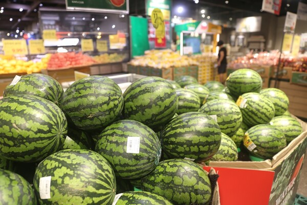 ▲킴스클럽 NC신구로점에 진열된 수박. ⓒ이랜드리테일