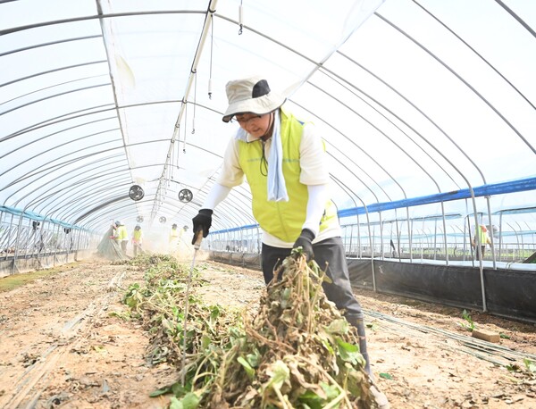 ▲송춘수 대표이사가 지난 23일 집중호우로 큰 피해를 본 충남 예산군을 찾아 침수 농작물 폐기 작업을 하고 있다.
