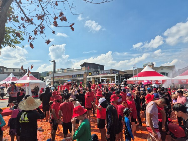 ▲2025 화천 토마토 축제를 즐기는 지역주민과 관광객의 모습. ⓒ오뚜기