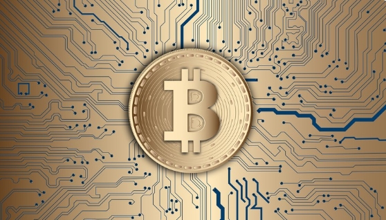 ▲가상자산(암호화폐) 투자 열기가 지속되면서 '투자 손실 보상', 코인 무료 지급' 등을 미끼로 자금을 편취하는 가상자산 투자 사기가 성행하고 있는 것으로 확인됐다. ⓒ 픽사베이