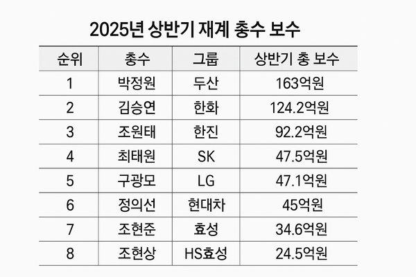 ⓒ전자공시스템