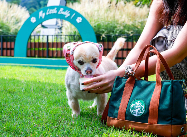 ▲스타벅스 더북한강R점에서 퍼푸치노를 즐기는 반려견과 고객. ⓒ스타벅스